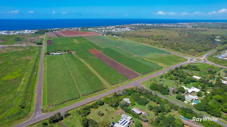 Sixth view of Homely rural property listing, 38 Cockerills Road, Innes Park QLD 4670