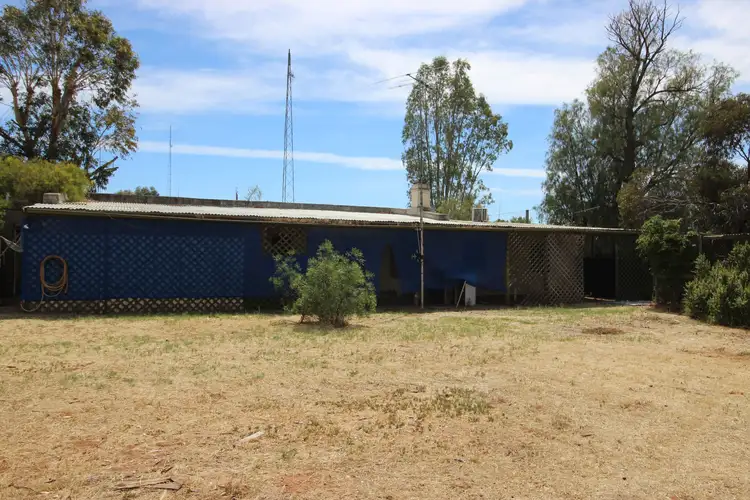 Main view of Homely house listing, 11 Tenth Street, Morgan SA 5320