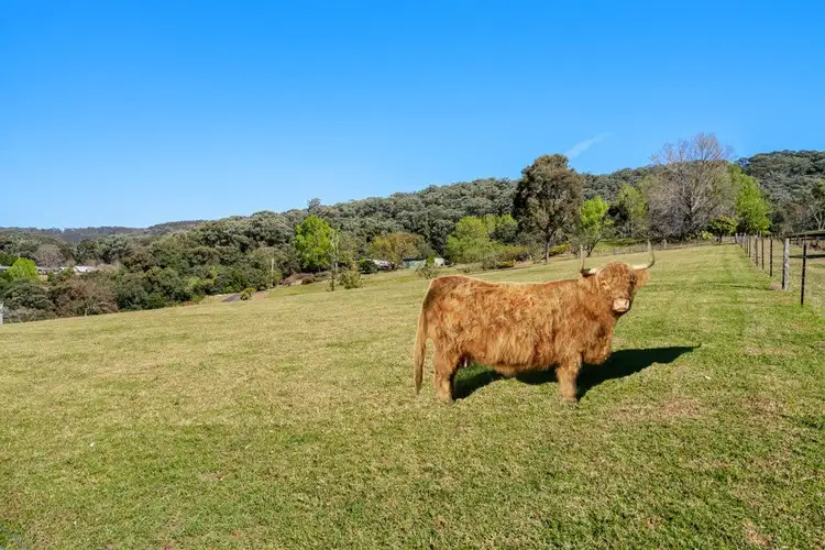 Third view of Homely rural property listing, 52a Springrove Lane, Kurrajong Hills NSW 2758