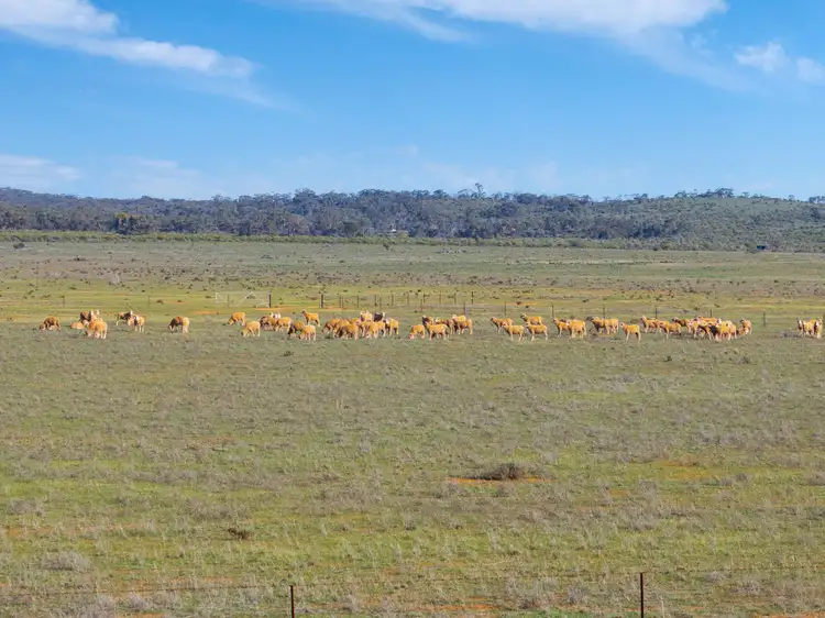 Third view of Homely rural property listing, 'Liddons' Gillies Road, Ucolta SA 5422
