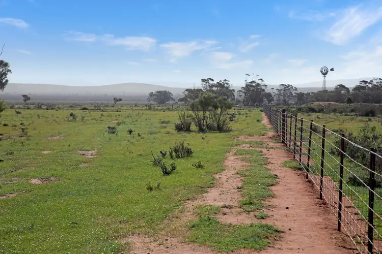 Fourth view of Homely rural property listing, 'Liddons' Gillies Road, Ucolta SA 5422