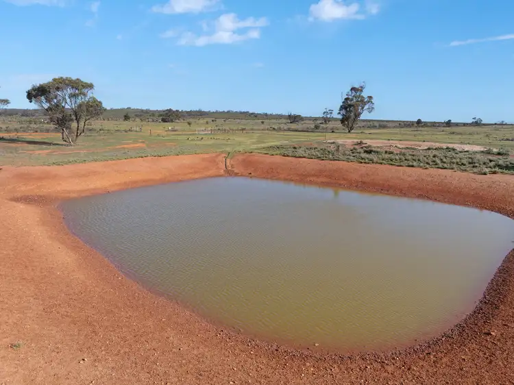 Fifth view of Homely rural property listing, 'Liddons' Gillies Road, Ucolta SA 5422