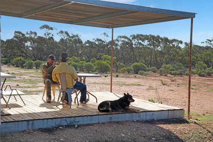Seventh view of Homely rural property listing, 'Liddons' Gillies Road, Ucolta SA 5422