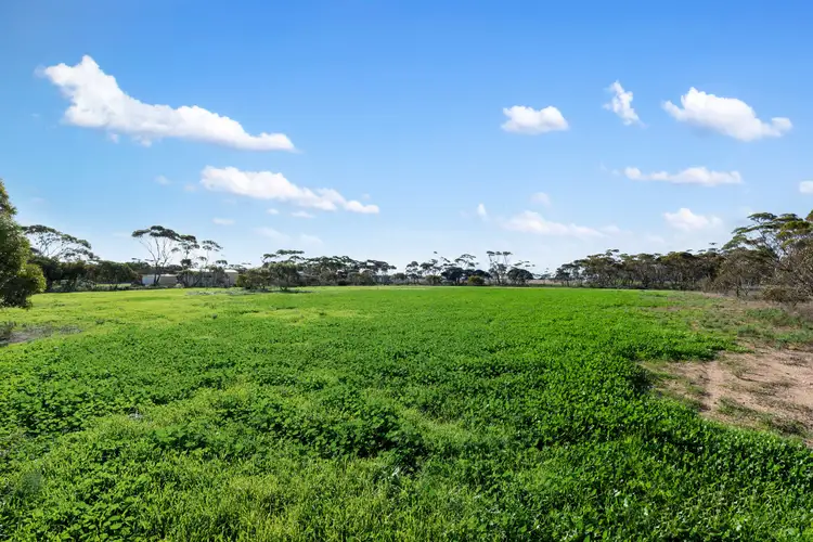 Third view of Homely land listing, Lots 139 & 140 High Street, Alford SA 5555