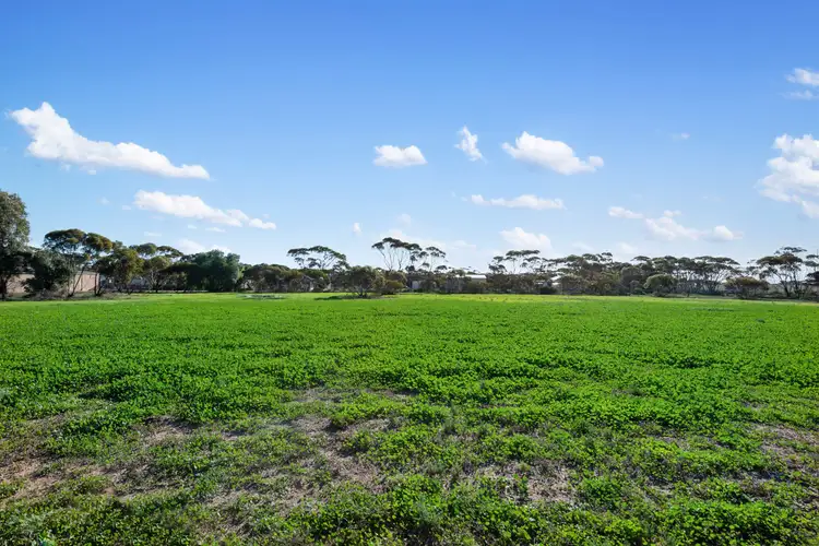 Sixth view of Homely land listing, Lots 139 & 140 High Street, Alford SA 5555