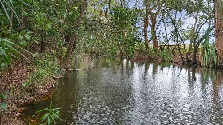 Third view of Homely rural property listing, 78 Cemetery Road, Sarina QLD 4737