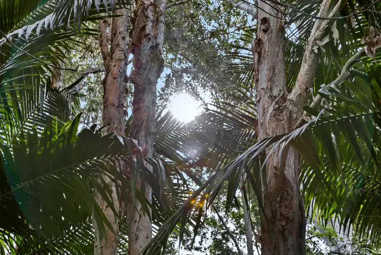 Fifth view of Homely land listing, 37 Paraka Street, The Gap QLD 4061