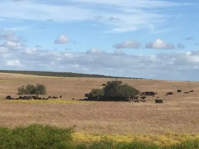 22 Greenwood Coast Road