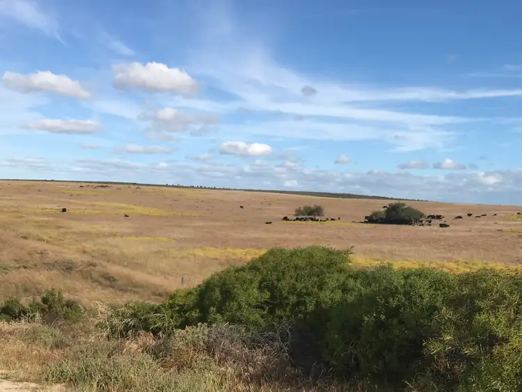 Second view of Homely rural property listing, 22 Greenwood Coast Road, Breton Bay WA 6043