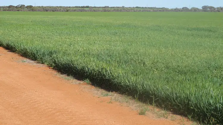 Lakeview Aggregation