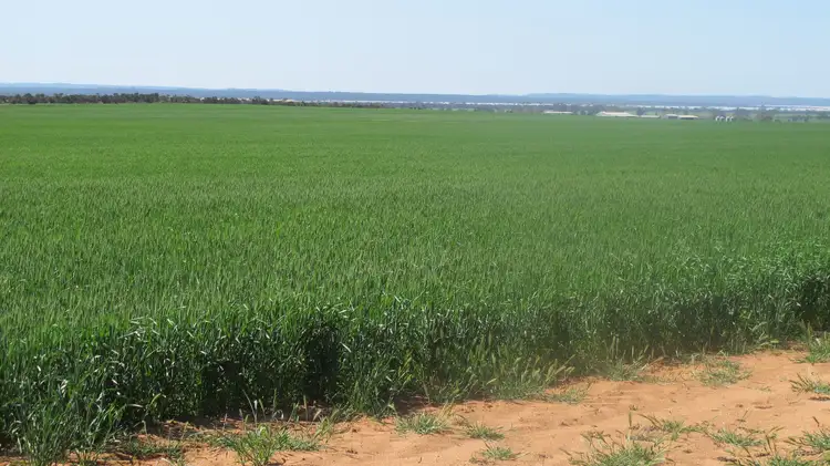 Seventh view of Homely rural property listing, Lakeview Aggregation, North Bodallin WA 6424