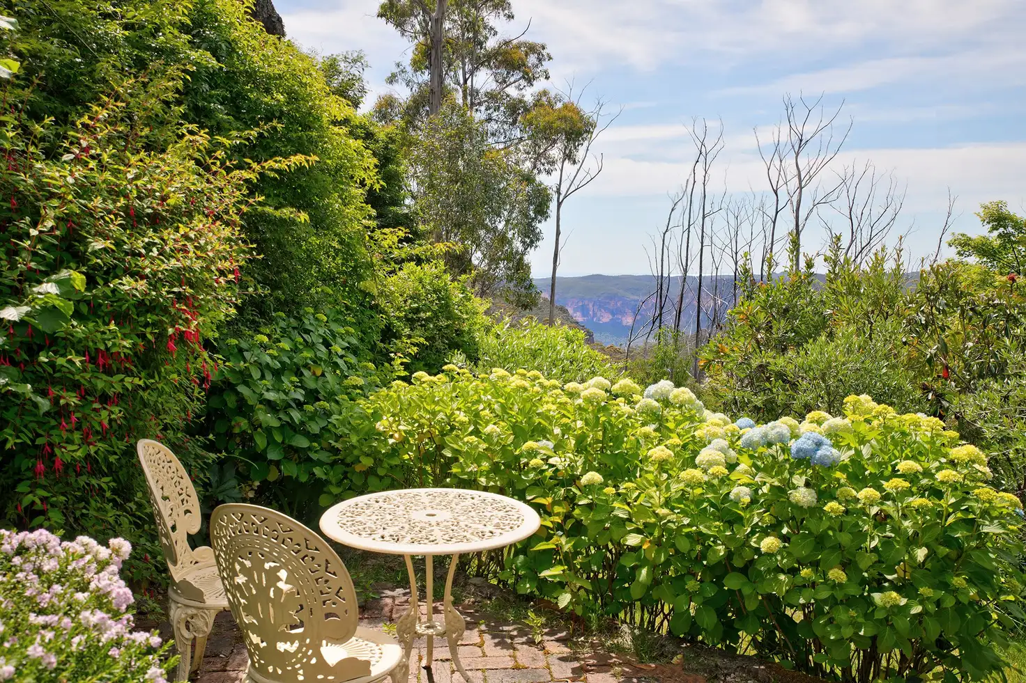Main view of Homely house listing, 223 Hat Hill Road, Blackheath NSW 2785