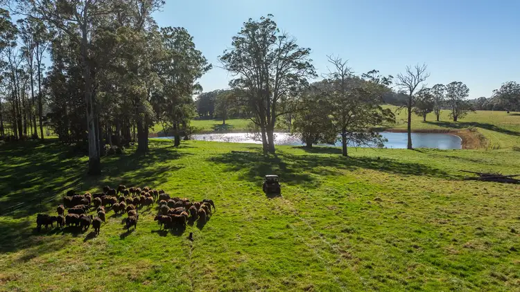 Third view of Homely rural property listing, 193 Faheys and Bulgins Road, Hernani NSW 2453