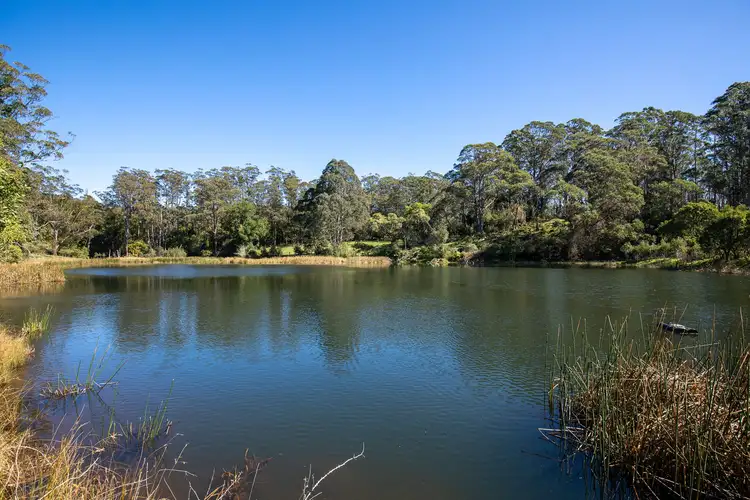 Sixth view of Homely rural property listing, 193 Faheys and Bulgins Road, Hernani NSW 2453
