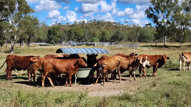 Main view of Homely rural property listing, 789 Coppin Road, Mungungo QLD 4630