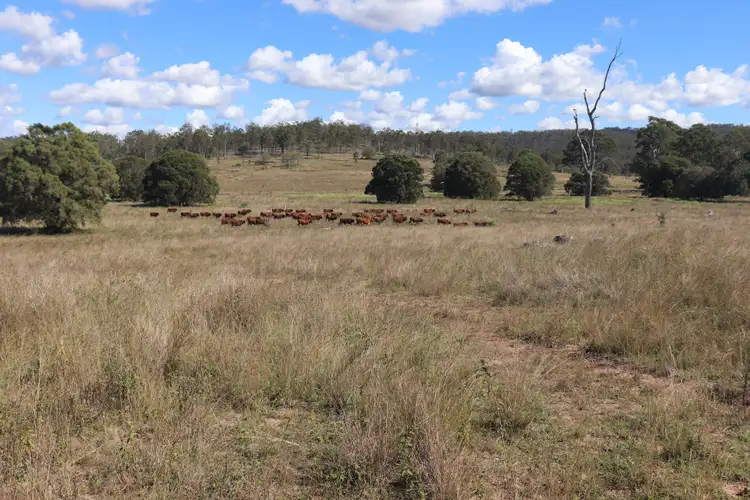 Third view of Homely rural property listing, 789 Coppin Road, Mungungo QLD 4630