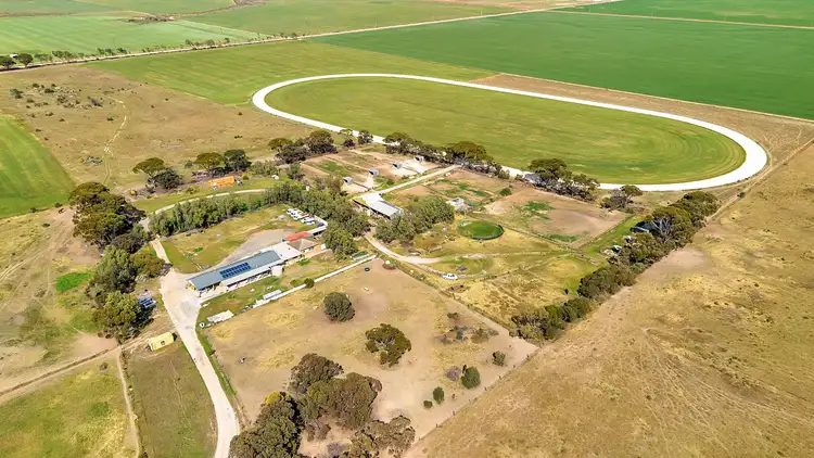 Fifth view of Homely house listing, 499 Williams Road, Two Wells SA 5501