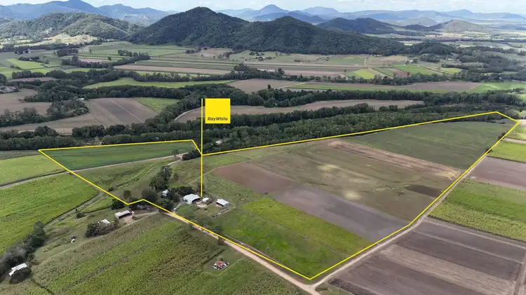 98 Williams Road, Pinnacle QLD 4741