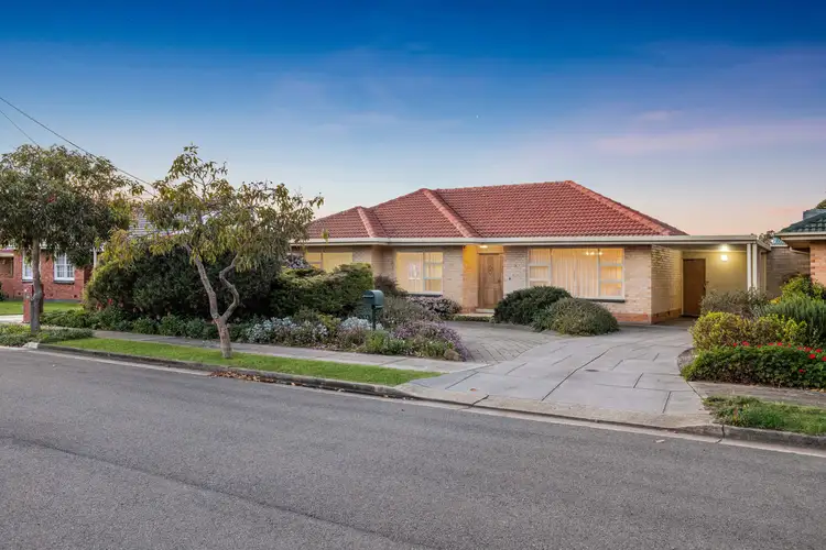 14 Freda Street, Netley SA 5037