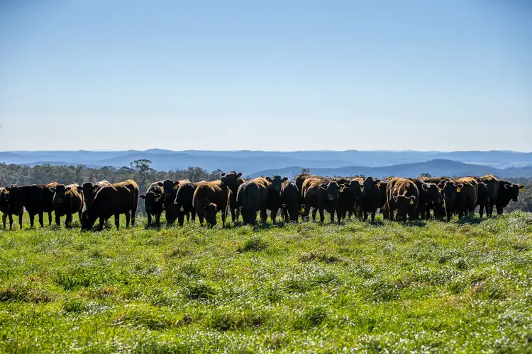 193 Faheys And Bulgins Road, Hernani NSW 2453