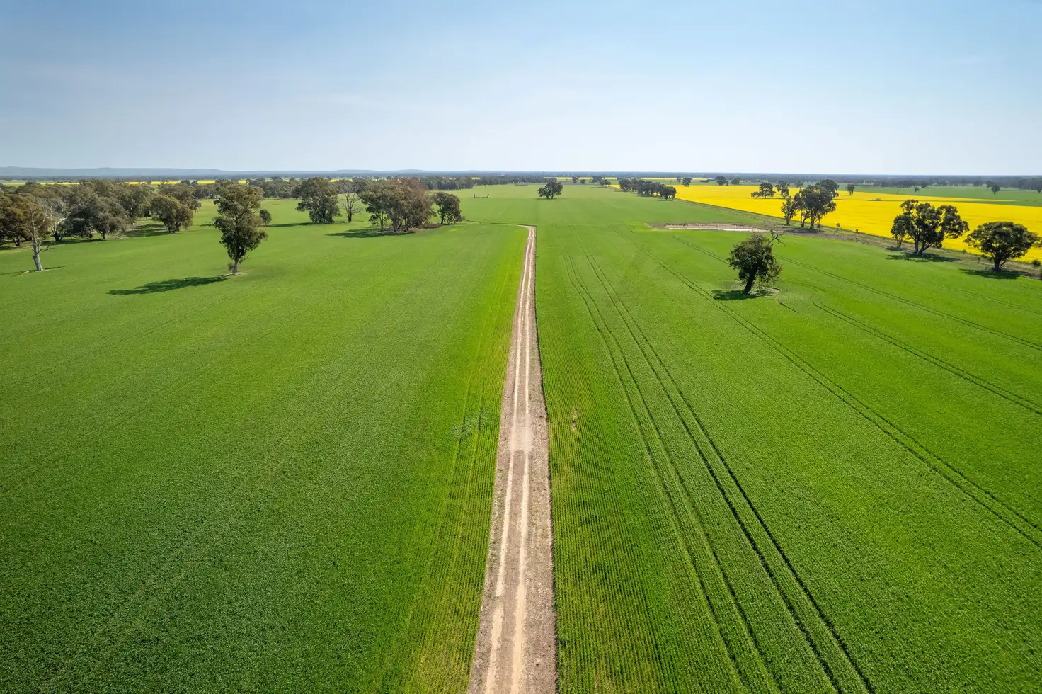 Main view of Homely rural property listing, 383 O'Brien Road, Springhurst VIC 3682
