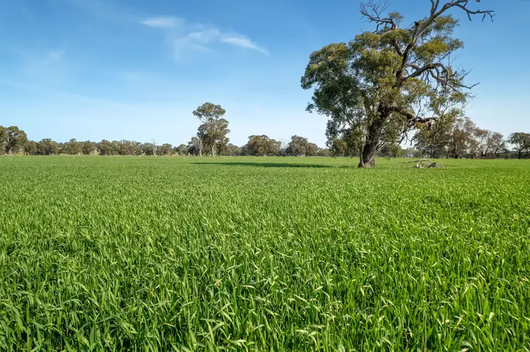 Third view of Homely rural property listing, 383 O'Brien Road, Springhurst VIC 3682