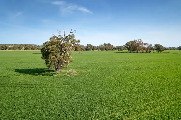Fourth view of Homely rural property listing, 383 O'Brien Road, Springhurst VIC 3682
