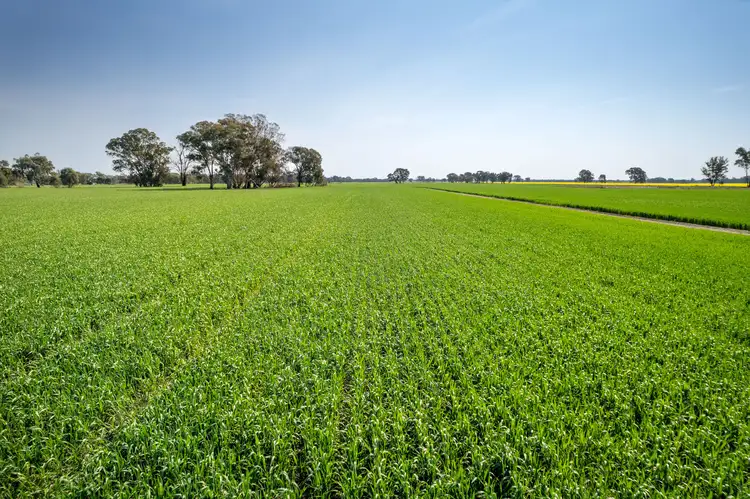 Sixth view of Homely rural property listing, 383 O'Brien Road, Springhurst VIC 3682