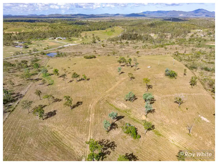 Sixth view of Homely rural property listing, 804 Belmont Road, Glenlee QLD 4711