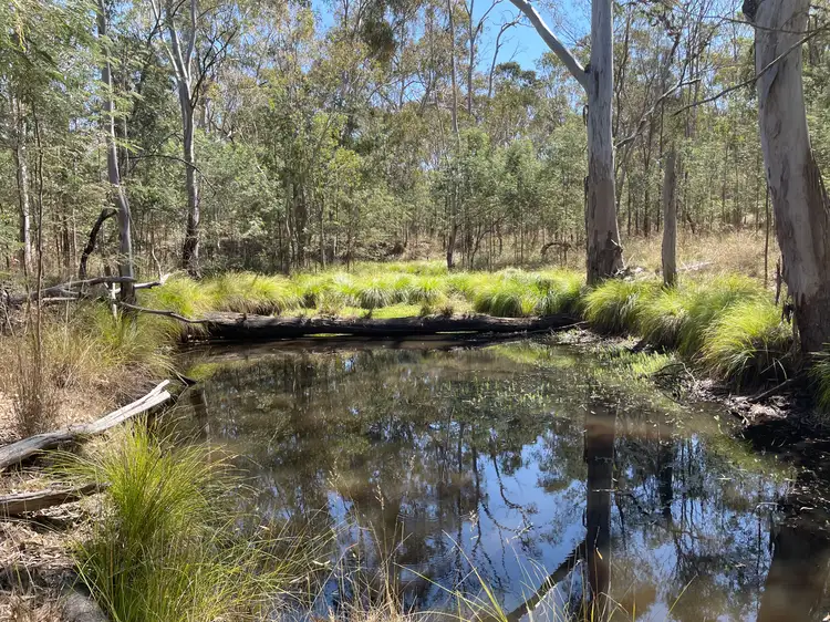 Main view of Homely rural property listing, 1 Hazeldene Road, Thanes Creek QLD 4370