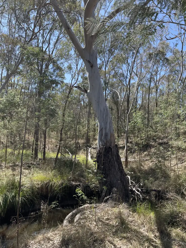 Second view of Homely rural property listing, 1 Hazeldene Road, Thanes Creek QLD 4370