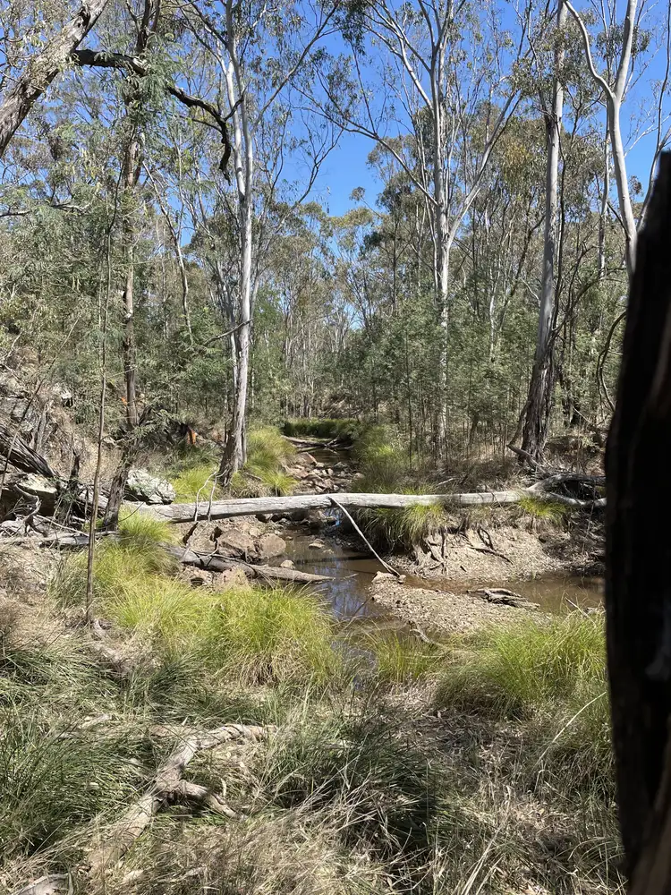 Third view of Homely rural property listing, 1 Hazeldene Road, Thanes Creek QLD 4370
