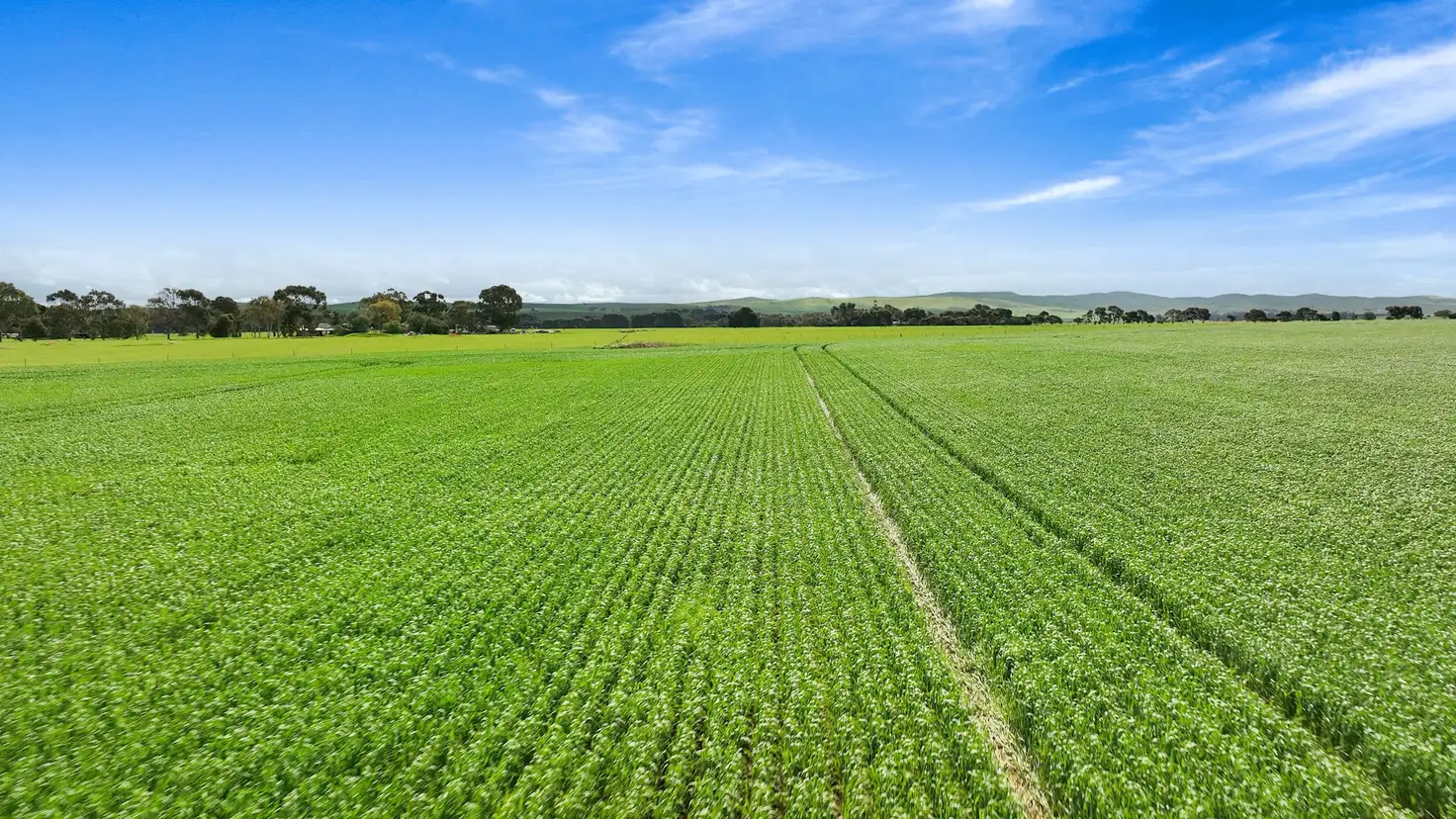 Main view of Homely rural property listing, 'Windy Brae Road' Windy Brae Road, Booborowie SA 5417