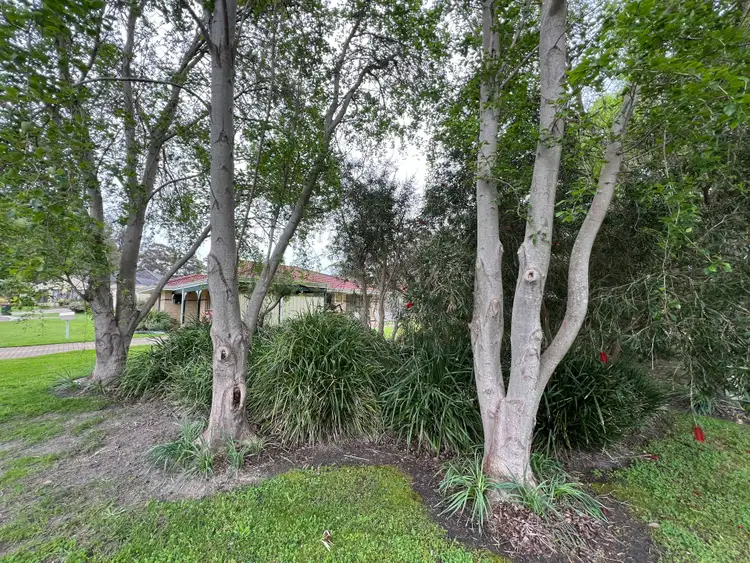 Seventh view of Homely house listing, 14 Avis Court, Denmark WA 6333