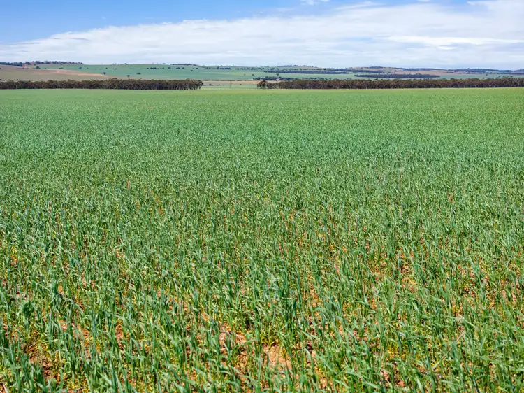 'Ekoor' Stock Route Road, Robertstown SA 5381