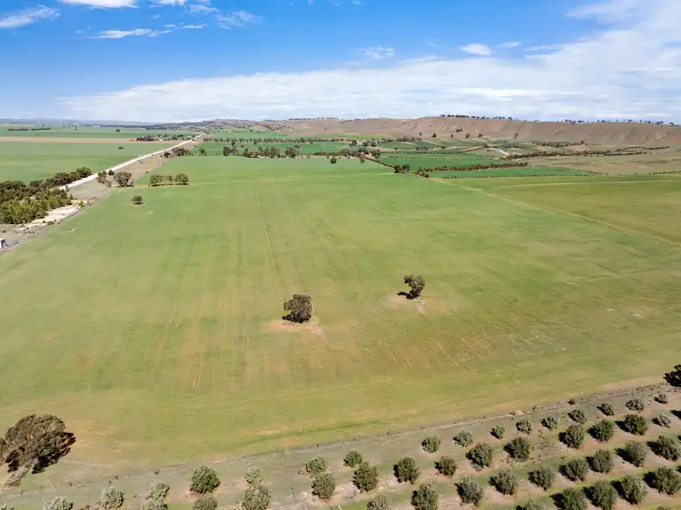 Third view of Homely rural property listing, 'Ekoor' Stock Route Road, Robertstown SA 5381