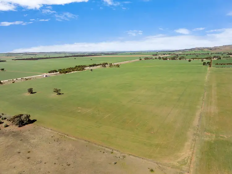 Fourth view of Homely rural property listing, 'Ekoor' Stock Route Road, Robertstown SA 5381