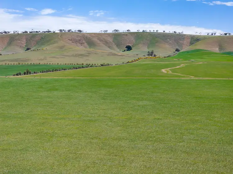 Sixth view of Homely rural property listing, 'Ekoor' Stock Route Road, Robertstown SA 5381