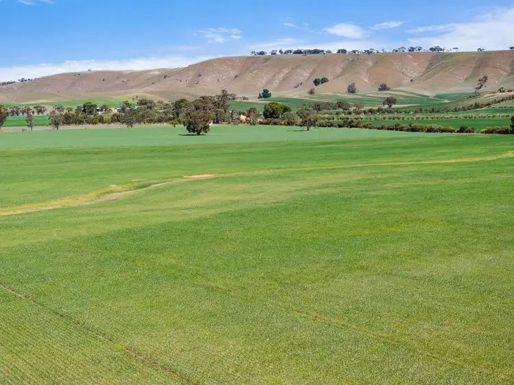 Seventh view of Homely rural property listing, 'Ekoor' Stock Route Road, Robertstown SA 5381