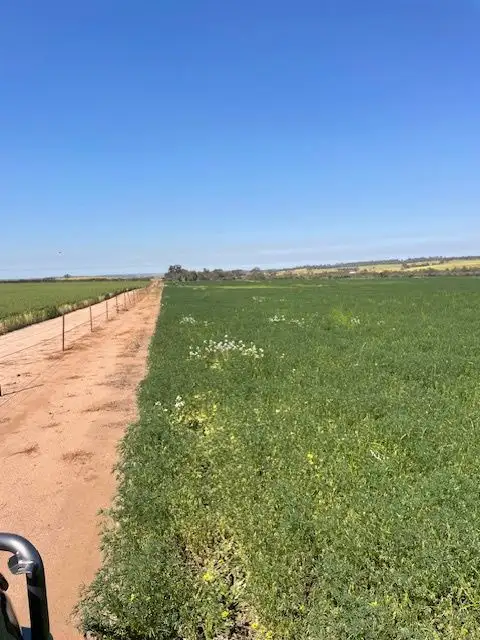 Second view of Homely rural property listing, Chesters Kalguddering East Road, Wongan Hills WA 6603