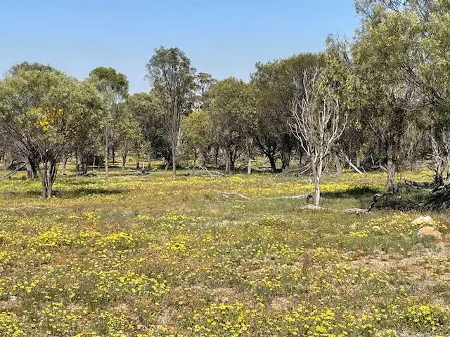 Sixth view of Homely rural property listing, Chesters Kalguddering East Road, Wongan Hills WA 6603
