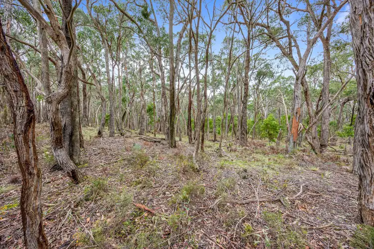 Third view of Homely land listing, LOT 26 Bronzewing Road, Lal Lal VIC 3352