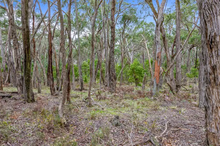 Fourth view of Homely land listing, LOT 26 Bronzewing Road, Lal Lal VIC 3352