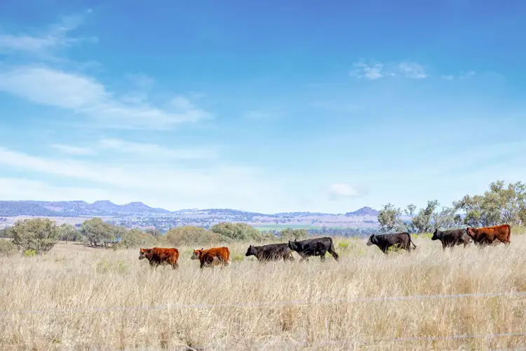 Third view of Homely rural property listing, 22 Nara-Boah Waterhole Road, Goombungee QLD 4354
