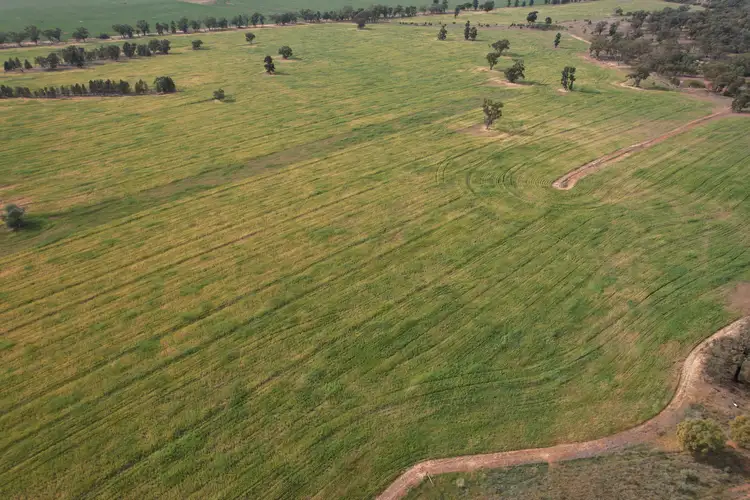 Third view of Homely rural property listing, 'Kaisar Hill' Fitzgerald Road, West Wyalong NSW 2671