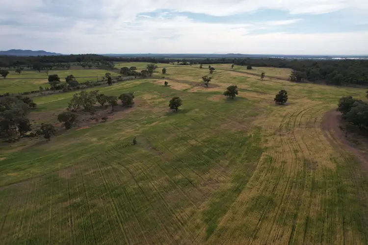 Fourth view of Homely rural property listing, 'Kaisar Hill' Fitzgerald Road, West Wyalong NSW 2671
