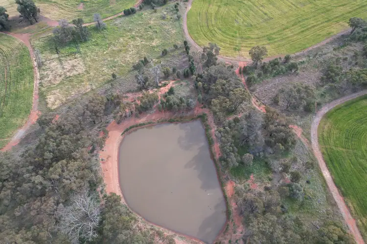 Sixth view of Homely rural property listing, 'Kaisar Hill' Fitzgerald Road, West Wyalong NSW 2671