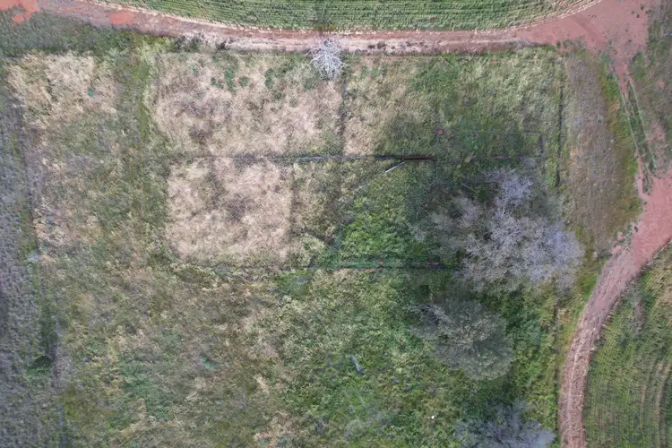 Seventh view of Homely rural property listing, 'Kaisar Hill' Fitzgerald Road, West Wyalong NSW 2671