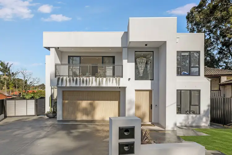 15 Treloar Crescent, Chester Hill NSW 2162