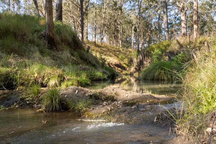 Third view of Homely rural property listing, Lot 16 Esk Hampton Road, Ravensbourne QLD 4352